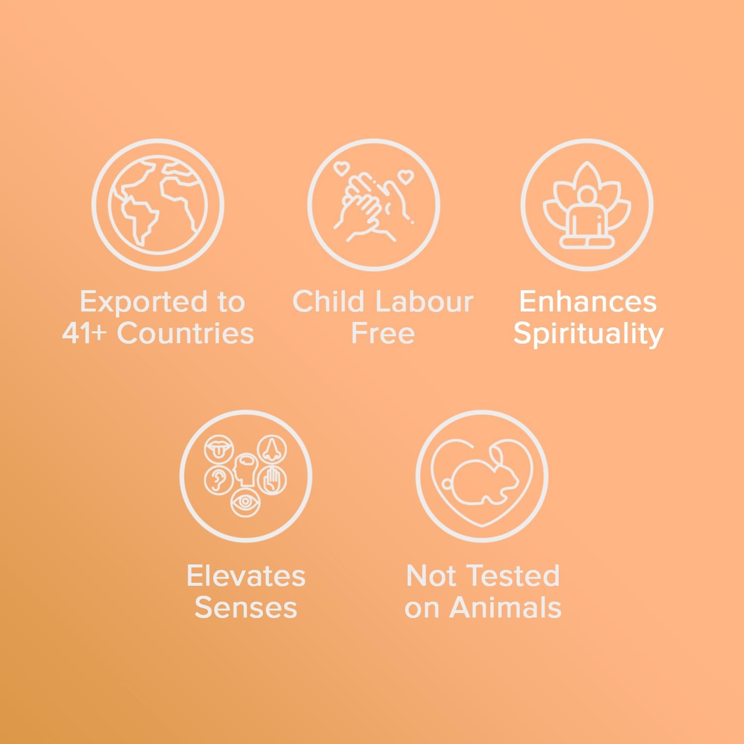 Zed Black Samarpan Camphor Camphor Slab Kapoor Pouch For Pooja - 100 GM (Pack of 1)