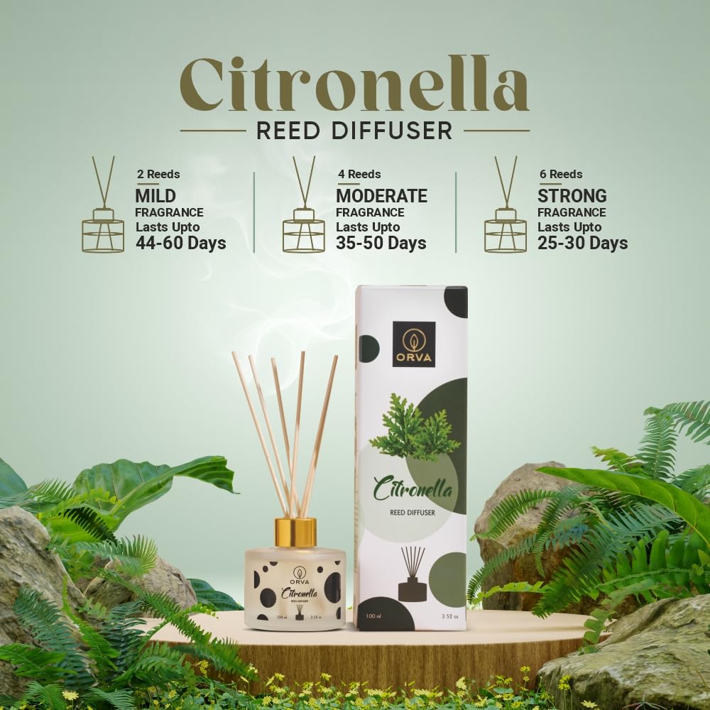 Orva Reed Diffuser Fragrance for Home, Workplace, Enclosed Spaces | 100ml | Includes 6 Rattan Sticks Free | Stress Relief | Mood Enhancer (Pack of 1) (CITRONELLA)