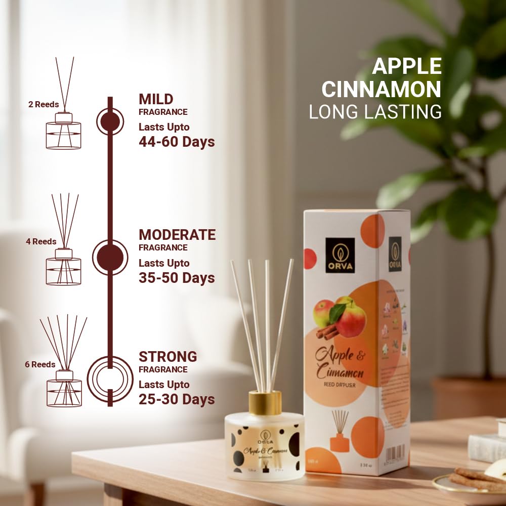 Orva Reed Diffuser Fragrance for Home, Workplace, Enclosed Spaces | 100ml | Includes 6 Rattan Sticks Free | Stress Relief | Mood Enhancer (Pack of 1) (Apple Cinnamon)