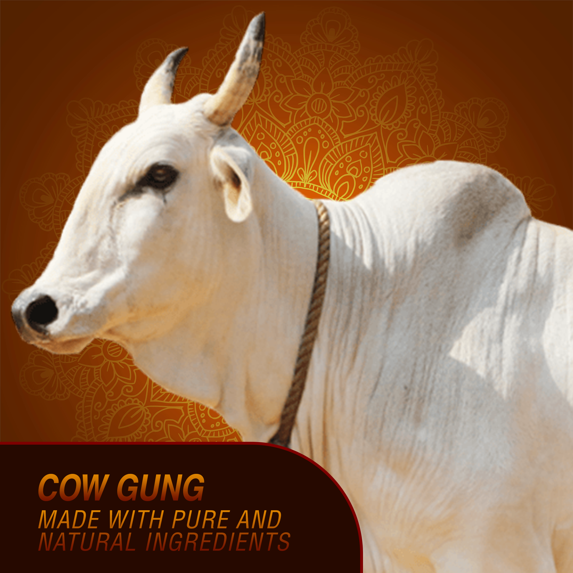 Gauved Sambrani Cup Combo of 2 Pack - Guggal & Loabn - Made with Cow Dung- Pack of 2 U