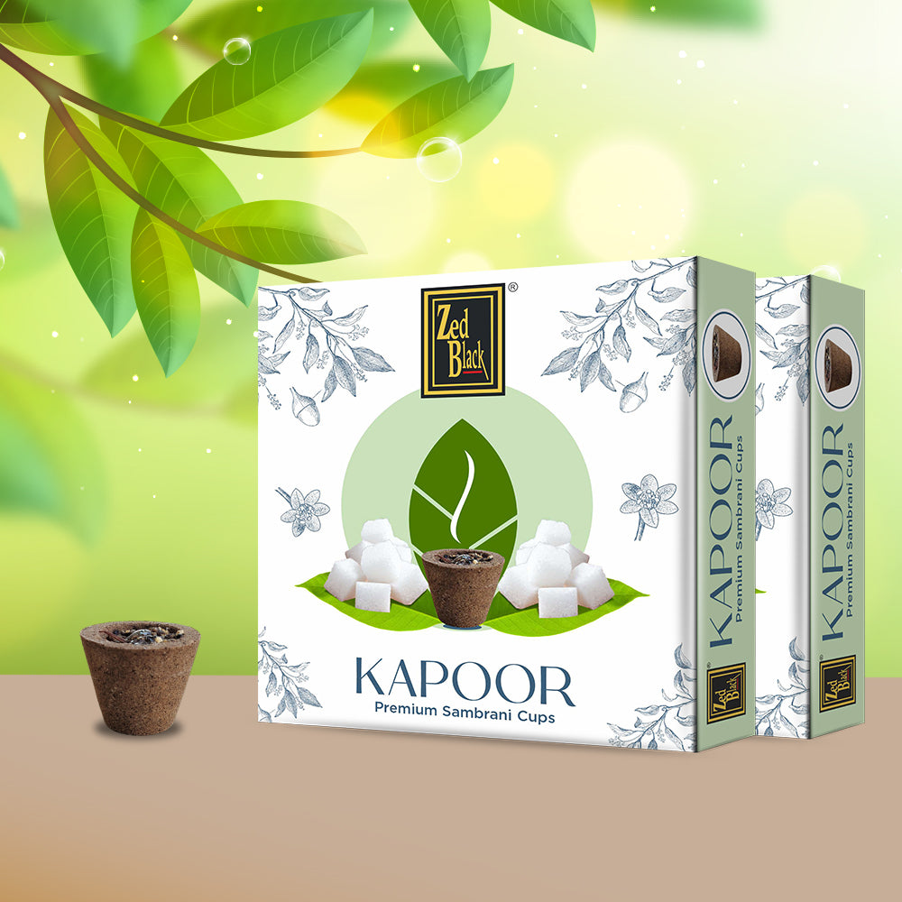 Zed Black Camphor Sambrani Cups Sambrani Dhoop Cup Box - Long Lasting Pleasing Aroma Dhoop Cone for Puja for Everyday Use - Pack of 2