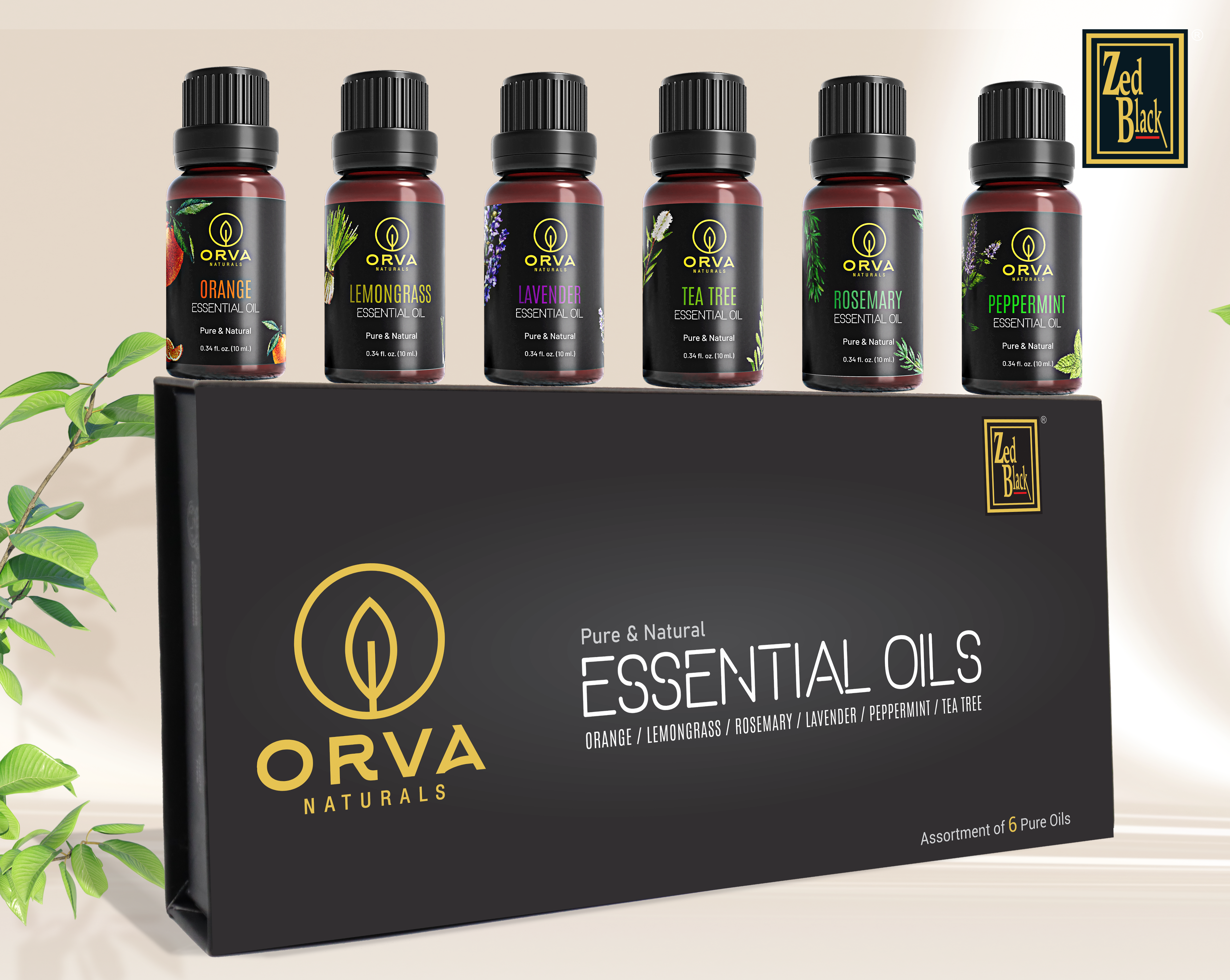 ORVA Pure and Natural Essential Oil combo of 6 units - Each 10 ml (Peppermint, Tea Tree, Orange, Rosemary, Lavender, and Lemon Grass)