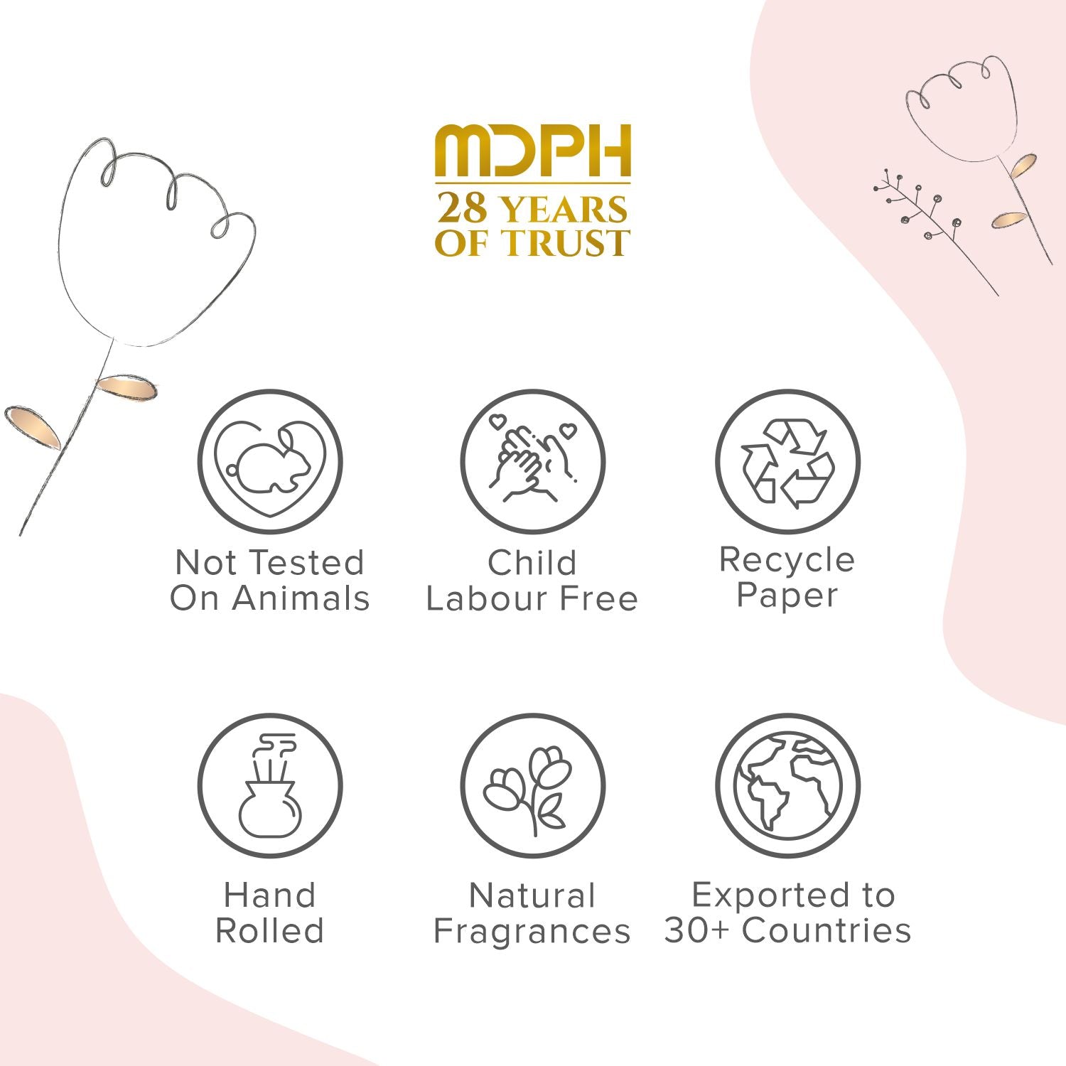 Parfum No9 Agarbatti / Incense Sticks In Resealable Pack